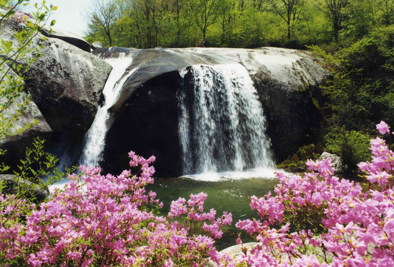 2025 제15회 진안고원 수박축제 완벽 가이드 | 한여름 달콤한 진안 여행의 필수 코스