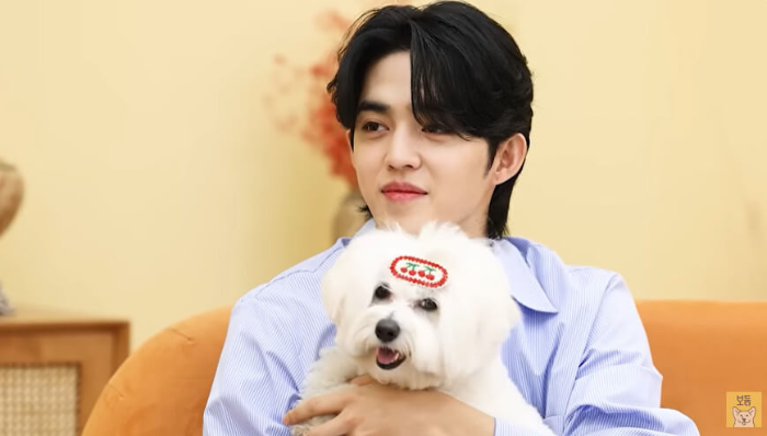 에스쿱스와-반려견