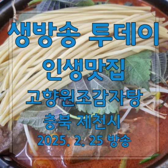 생방송 투데이 인생맛집