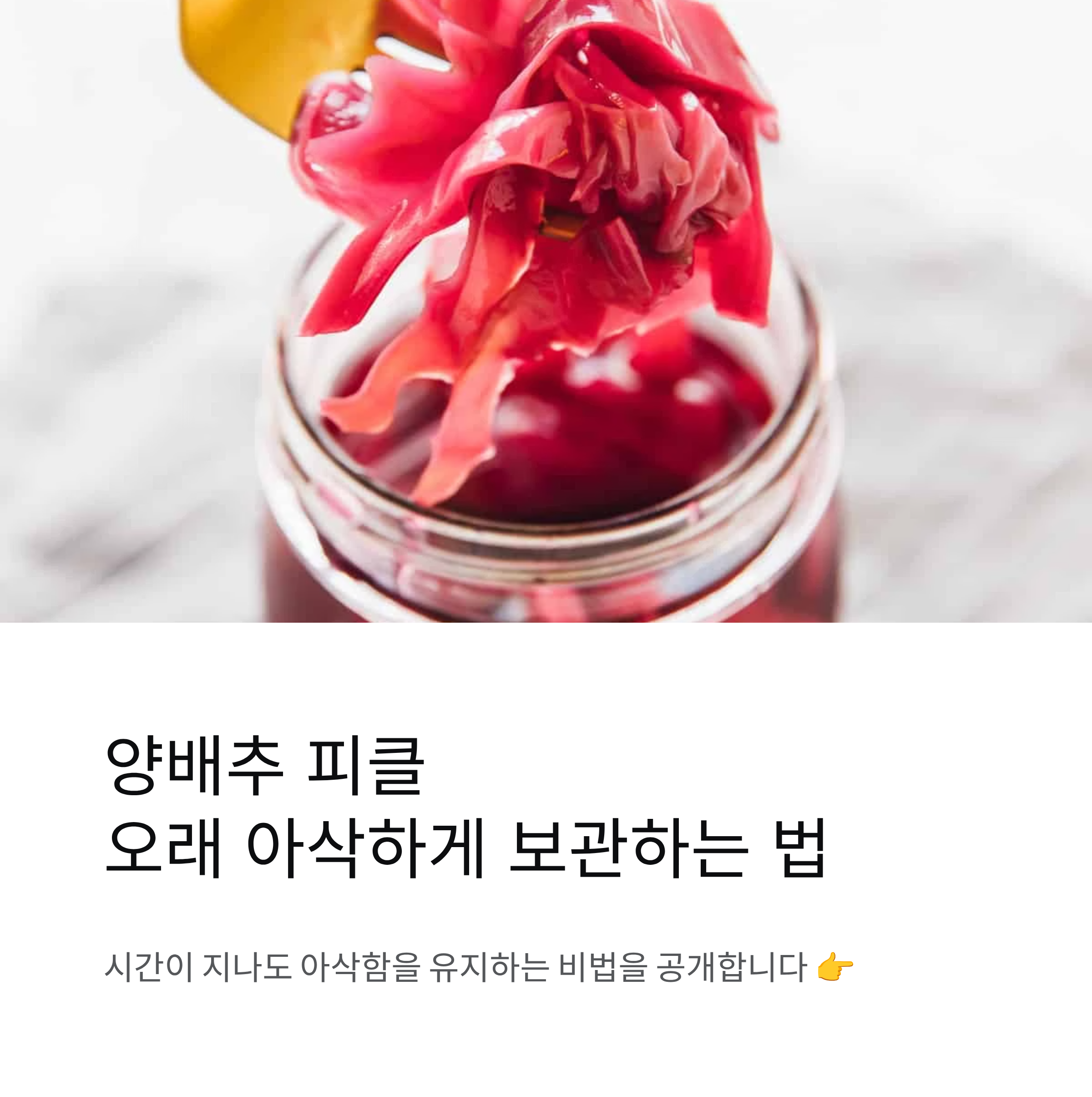 양배추 피클 오래 두고도 아삭하게 즐기는 보관 비법