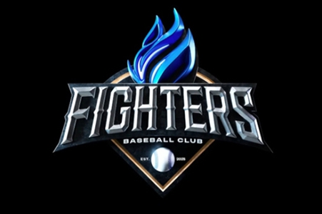 불꽃야구 직관 예매 울산