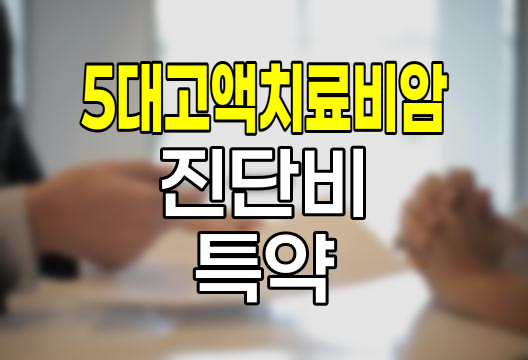 메리츠화재 5대 고액치료비암 진단비 특약 심층 분석