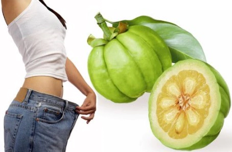 가르시니아 hca 효과 4가지 및 다이어트 가르시니아먹는법 총정리