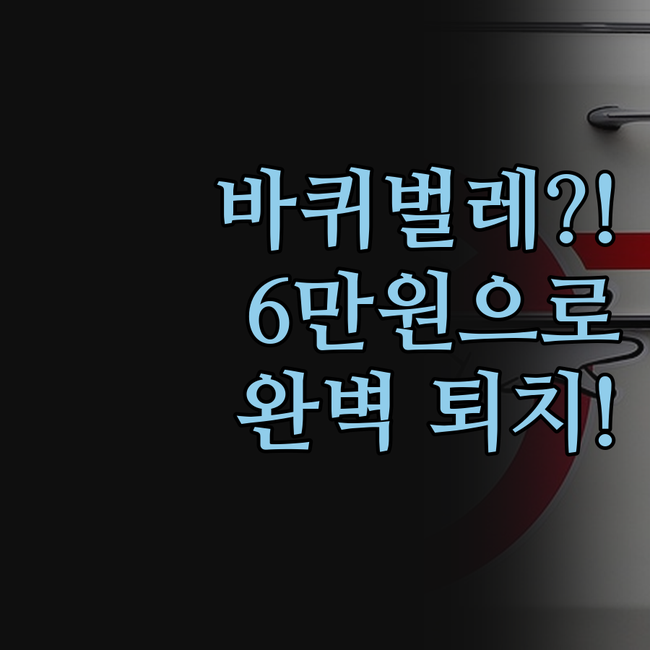 앗! 우리집에 바퀴벌레가? 6만원으로