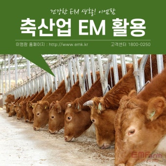 EM