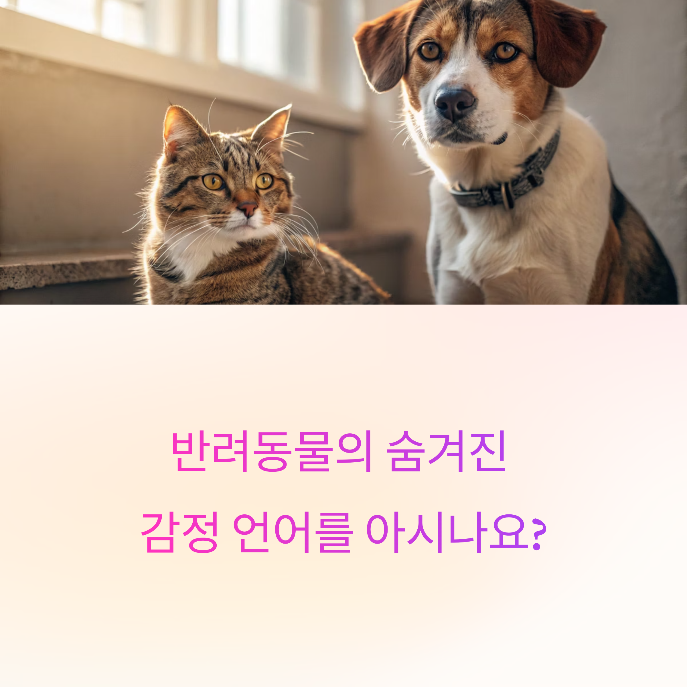 반려동물 소통하는 법