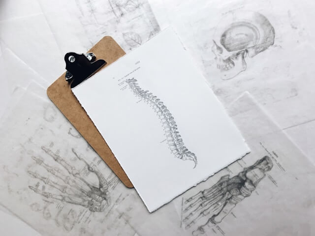 골다공증-정의-원인-증상-치료방법-예방법