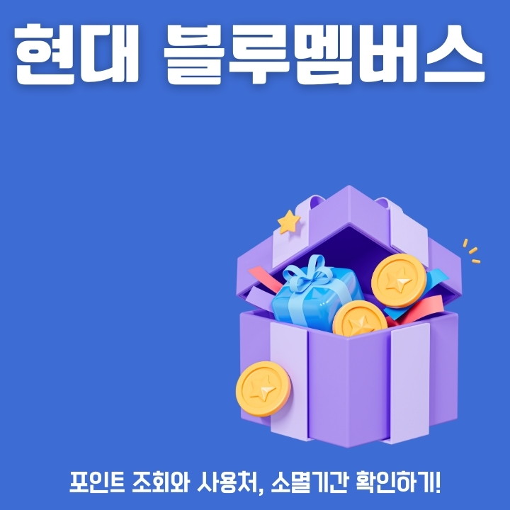 현대 블루멤버스 포인트 확인 및 양도 방법에 대한 글의 썸네일