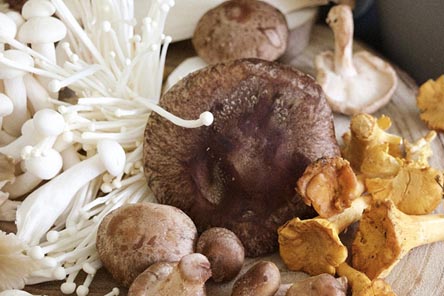 베타글루칸-풍부한음식-버섯