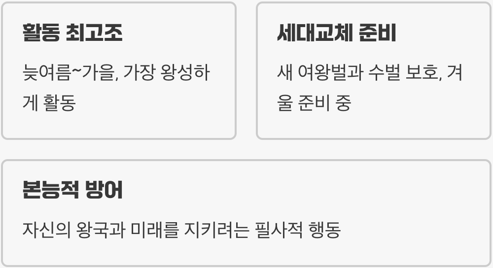 가을의 불청객, 말벌이 예민한 이유