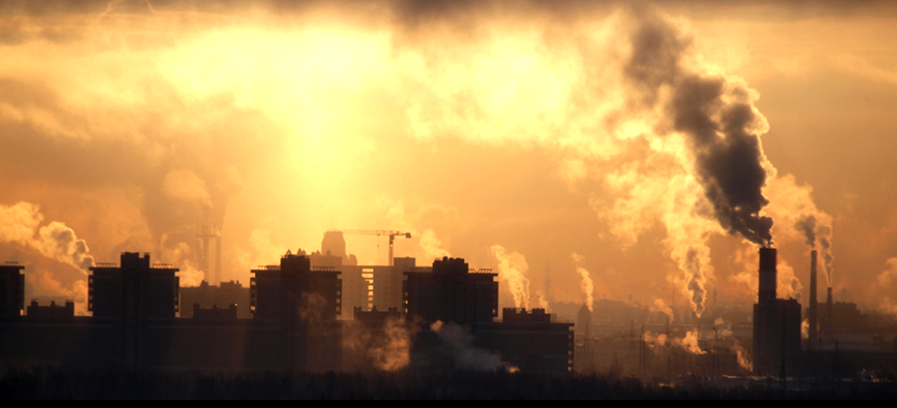 기업은 왜 화이트 스완을 외면하는가 : 단기 이익이 장기 위기를 부르는 메커니즘