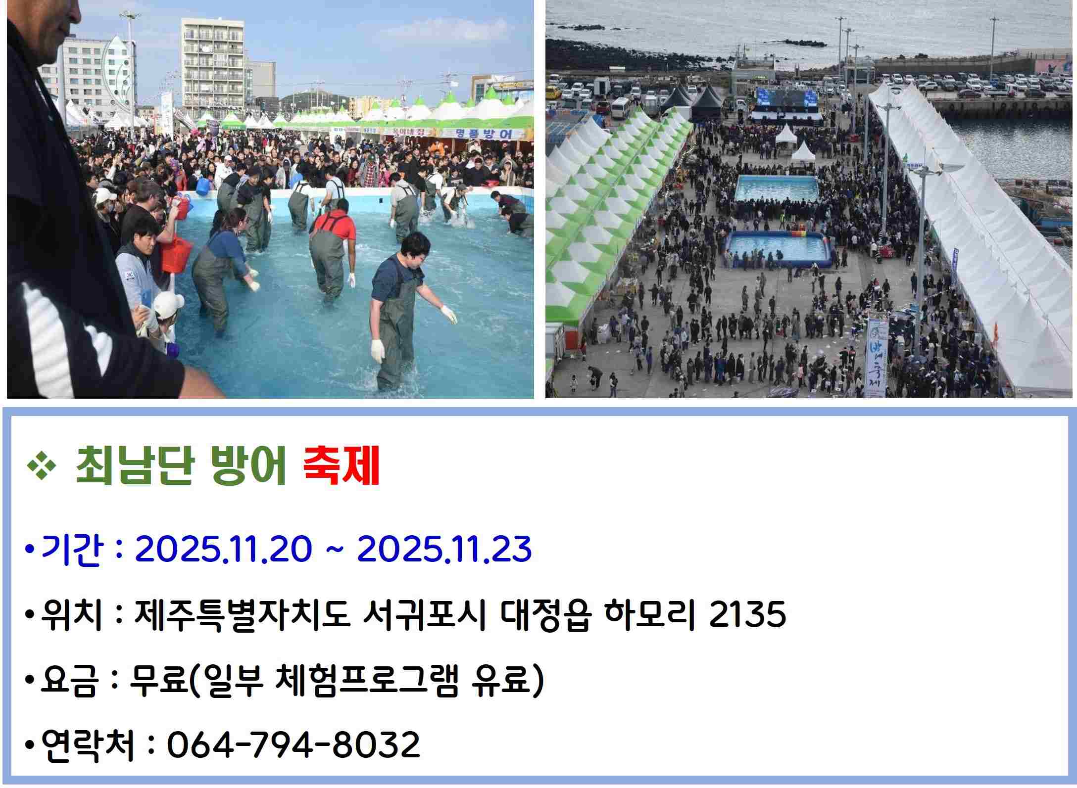 최남단 방어 축제