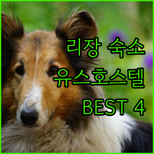 리장 자유여행 어디서 묵을까 개성만점..