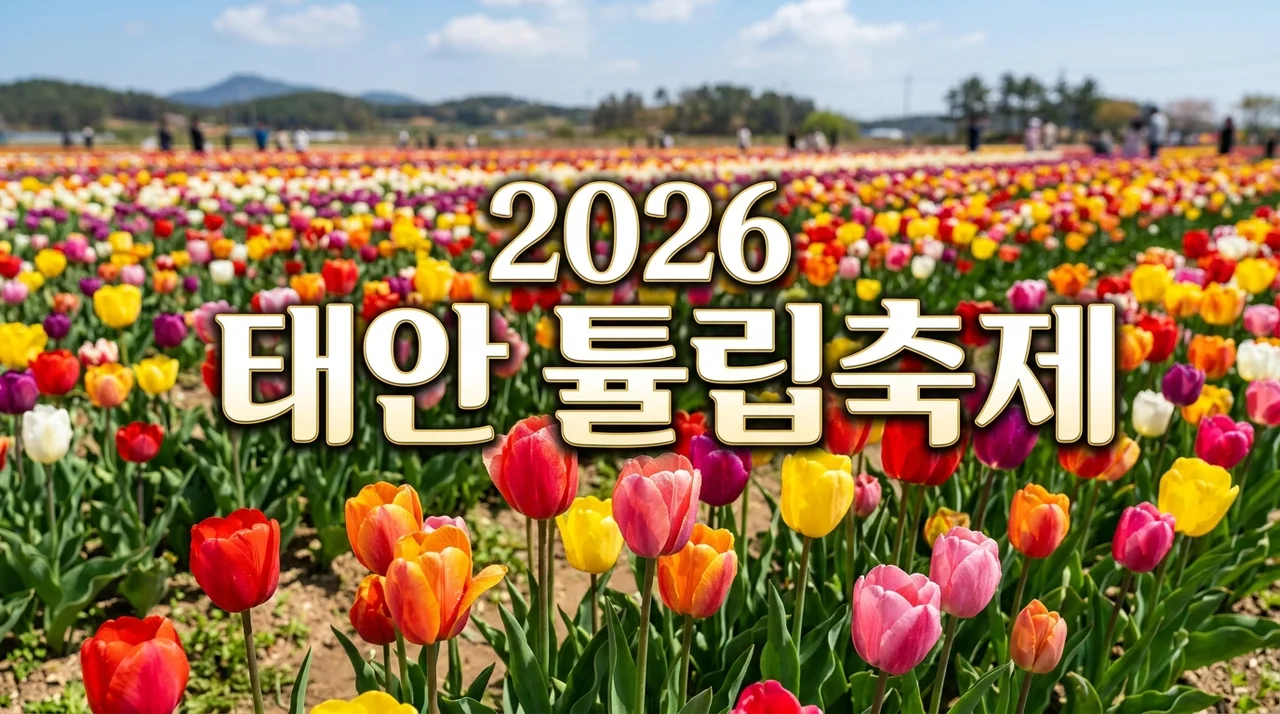 2026 태안 세계튤립꽃박람회 완벽 가이드: 안면도 튤립축제 일정, 주차, 코스 추천