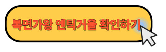 복면가왕 엔틱거울 정체