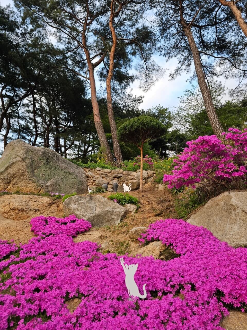 생생정보 핫 플레이스 Now 북한산 둘레길 10구간 북한산 놀면라면 카페 생생정보 2297회