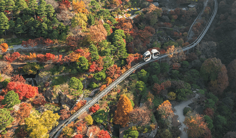 화담숲 가을 단풍축제 명소, 9월 10월 예약과 맛집