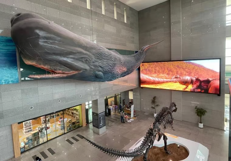 서대문자연사박물관 완벽 가이드: 2026년 예약부터 주차까지 실전 관람 후기