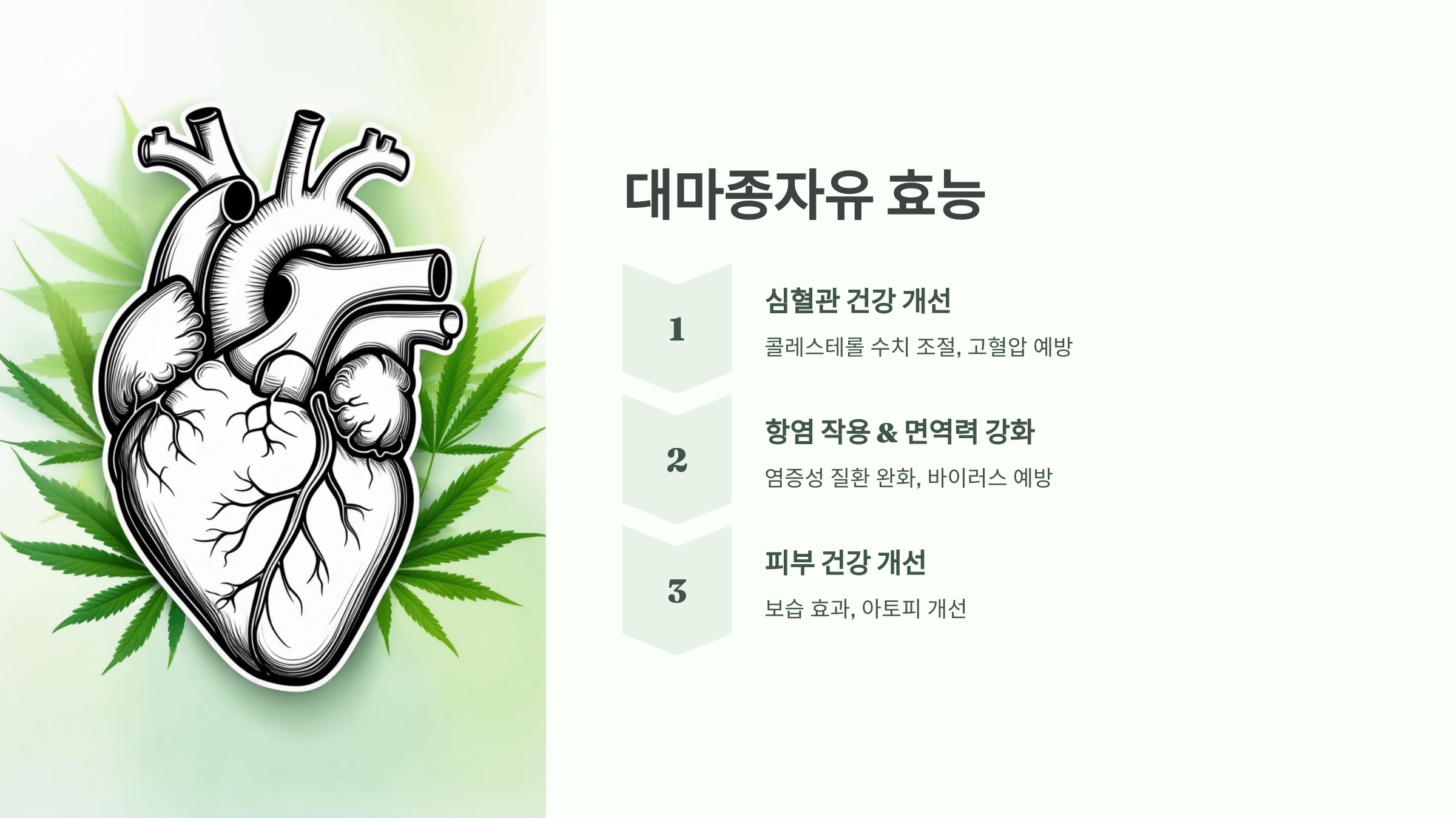 대마종자유 사진입니다.
