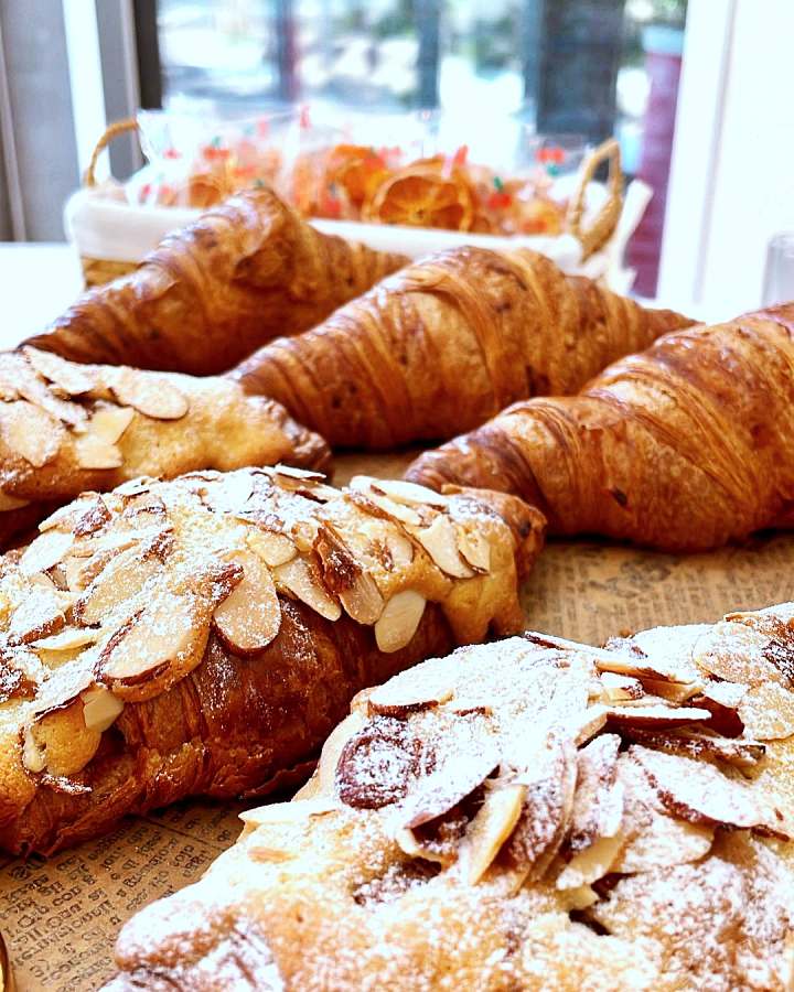 생방송오늘저녁 제주 인생샷 핫스팟 크림 쇼콜라 커피 디저트 3,500평 동백 가드닝 베이커리 카페 맛집 추천