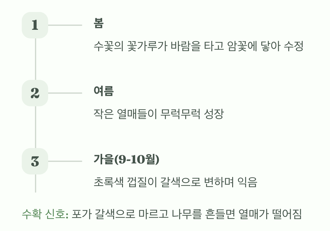 가장 고소한 순간, 수확의 기쁨