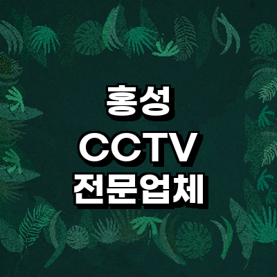 홍성군 cctv