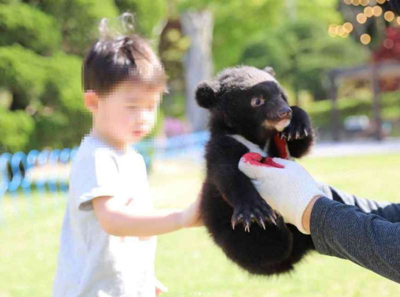 베어트리파크 철쭉제 봄과 철쭉