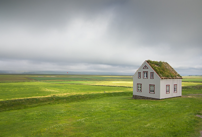 도시 탈출 성공! 걷기만 해도 도착하는 피크닉 스팟 모음