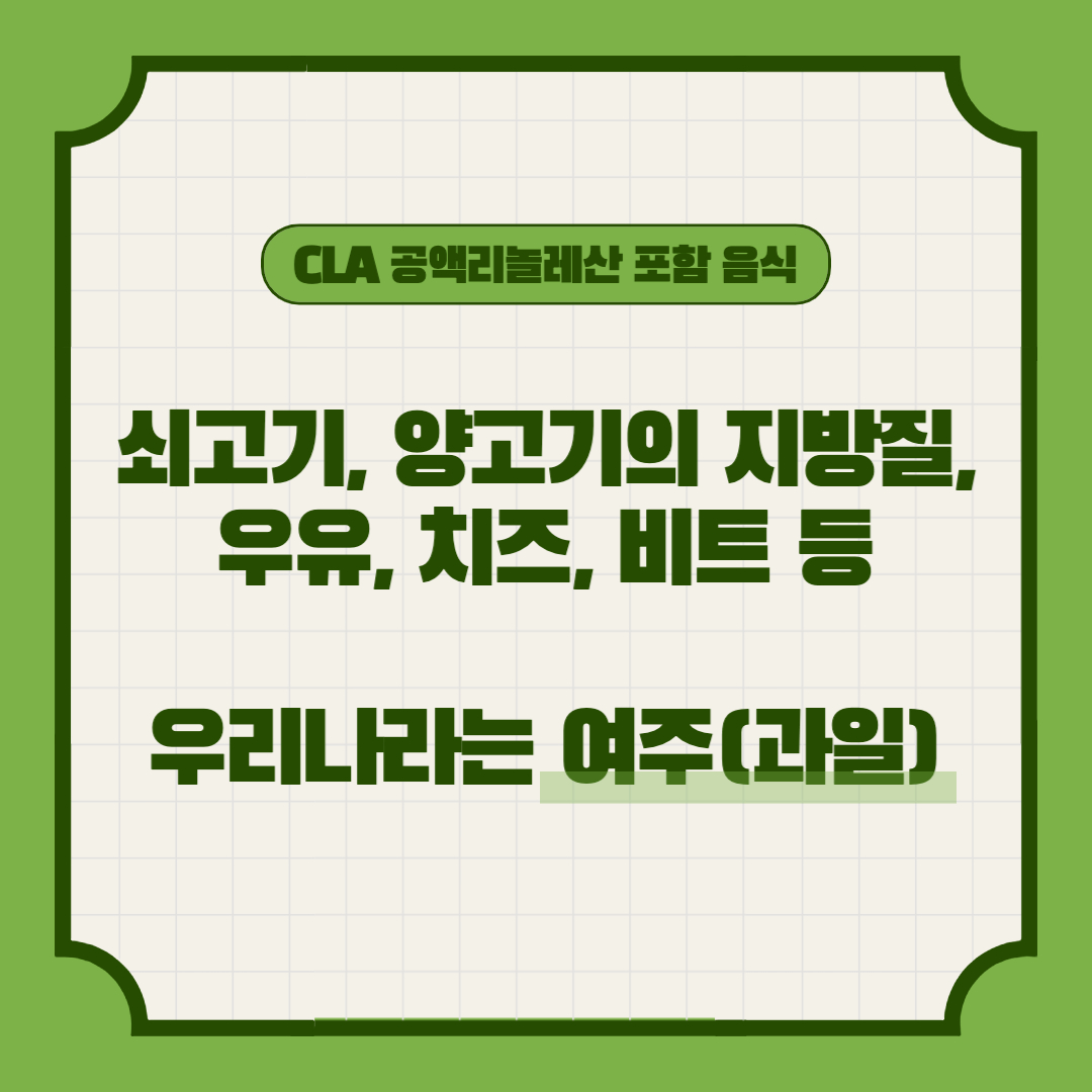 CLA 공액리놀레산 효능, 음식, 섭취방법, 부작용, 고르는 방법