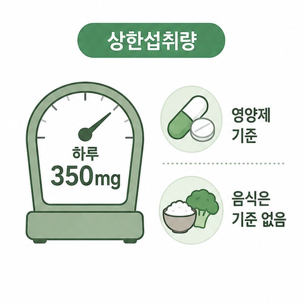 마그네슘 상한섭취량 하루 350mg 기준