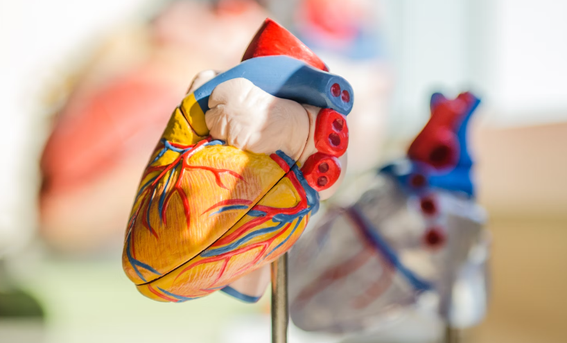 코큐텐 복용 시간 : 점심