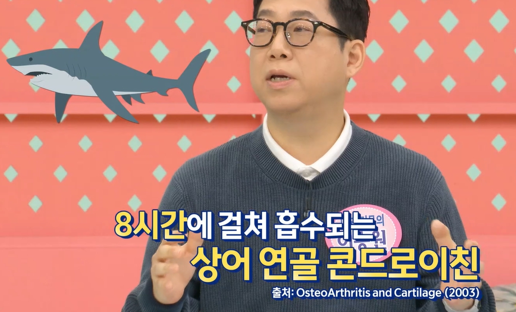 콘드로이친 복용법