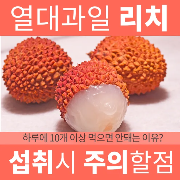 열대 과일 리치 건강 기능_4