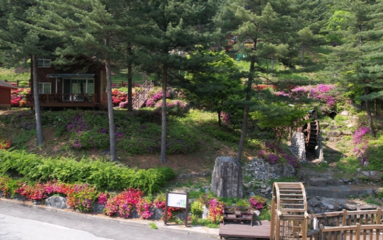 칼봉산 자연휴양림