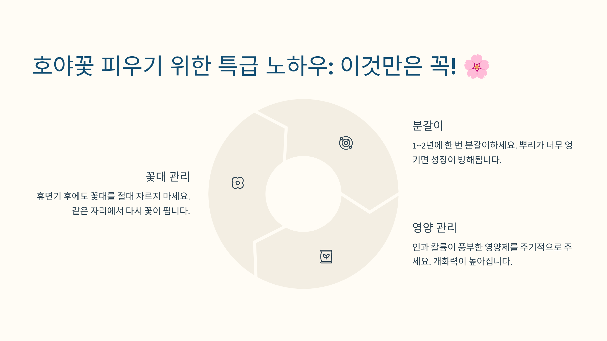 호야꽃 피우기 위한 특급 노하우: 이것만은 꼭! 🌸