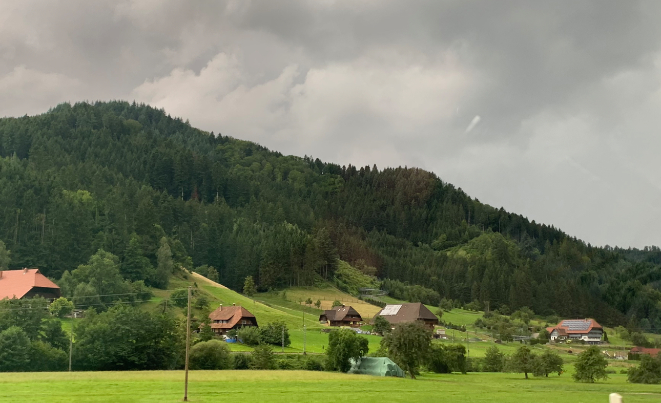 블랙 포레스트의 인기있는 타운은 따로 있지만 드라이브중 너무 예뻐서 찍은 사진