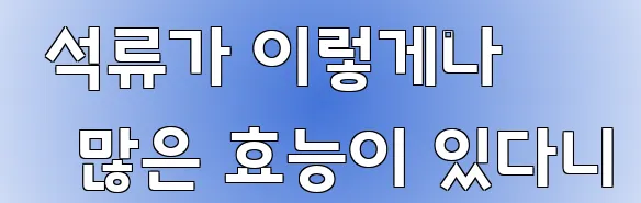  석류가 이렇게나 많은 효능이 있다니