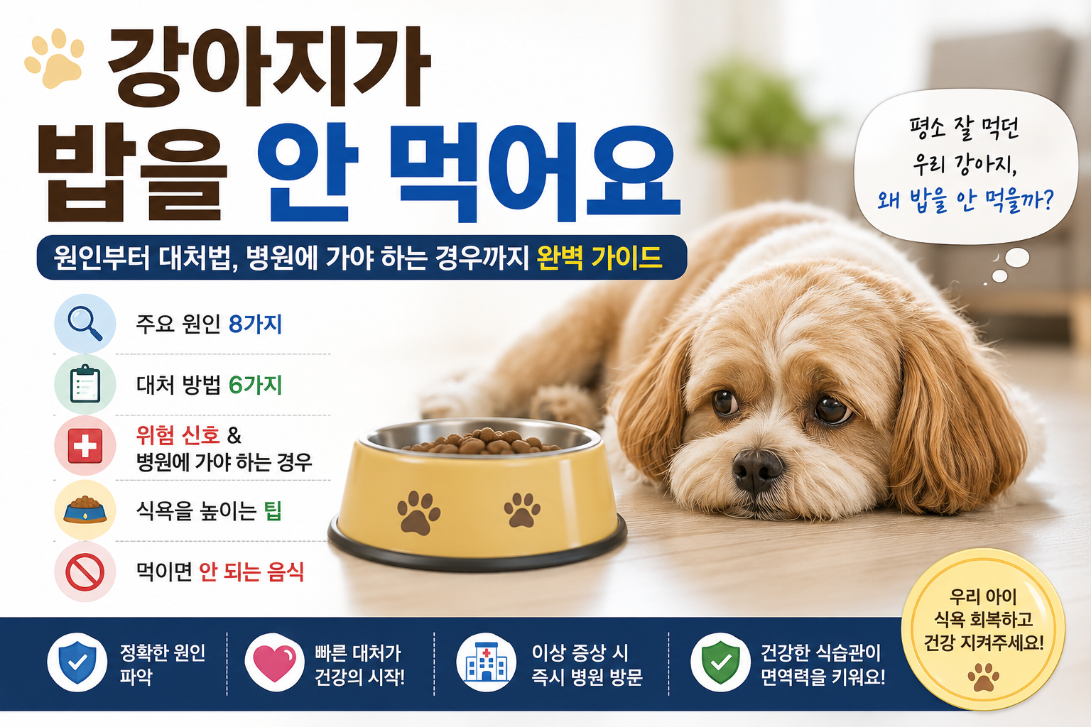 강아지가 밥을 안 먹는 이유 대표 이미지