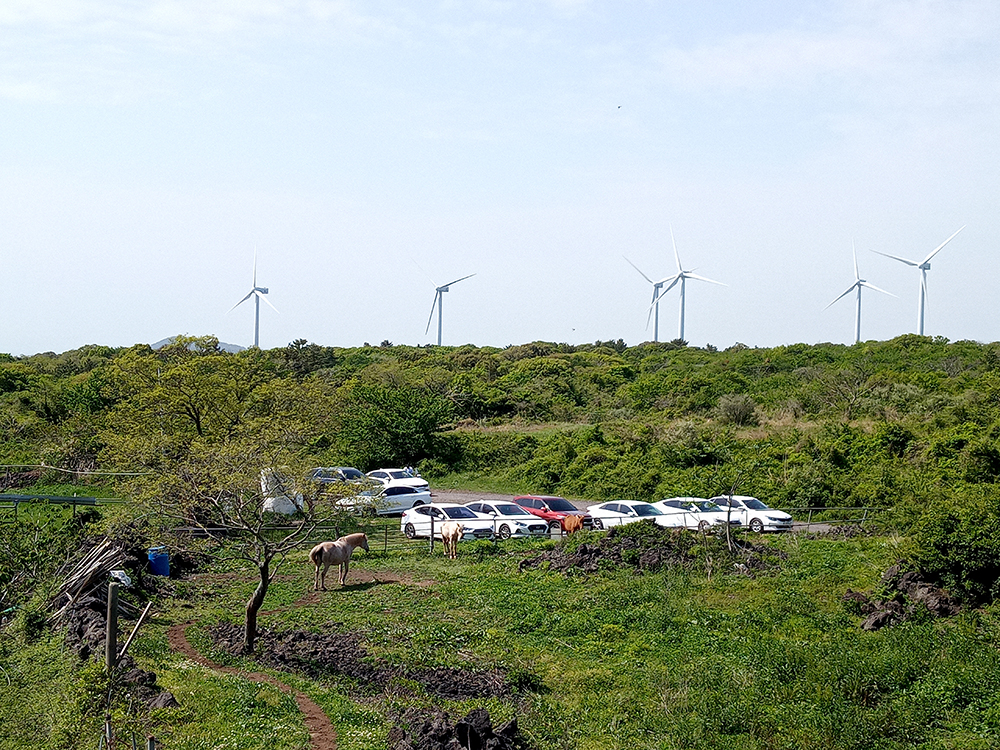 올레길 14-1코스: 명성목장