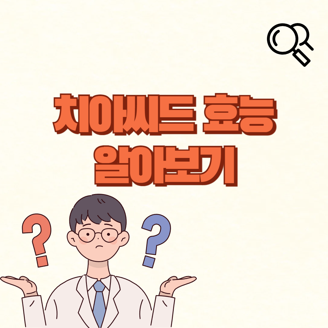 치아씨드 효능✅