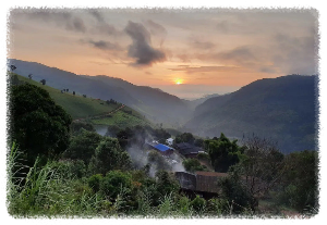 코끼리 구조 센터