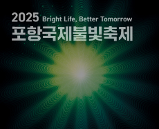 불빛축제 공식 포스터