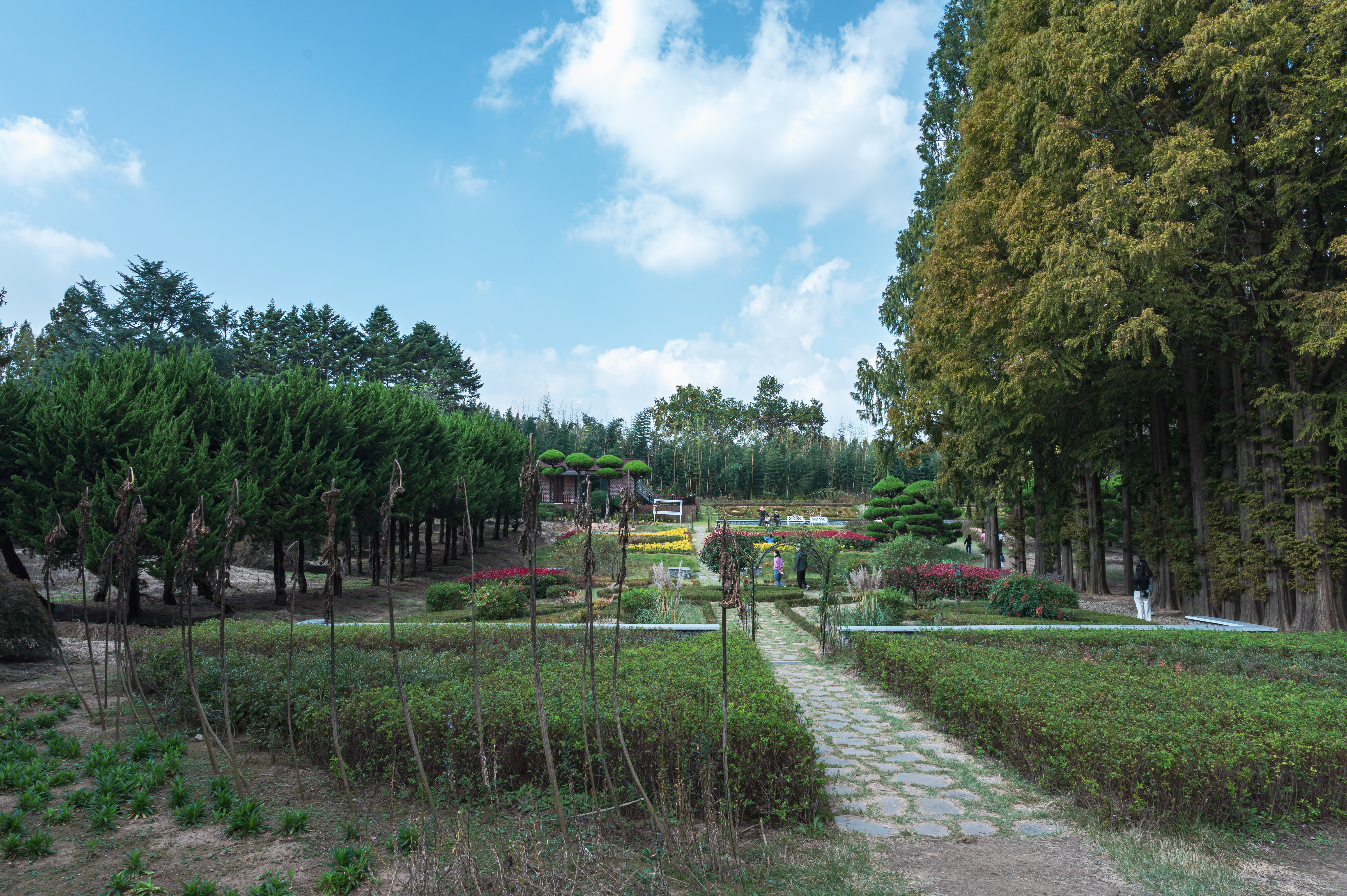 ์๊ฐํ ์ ์