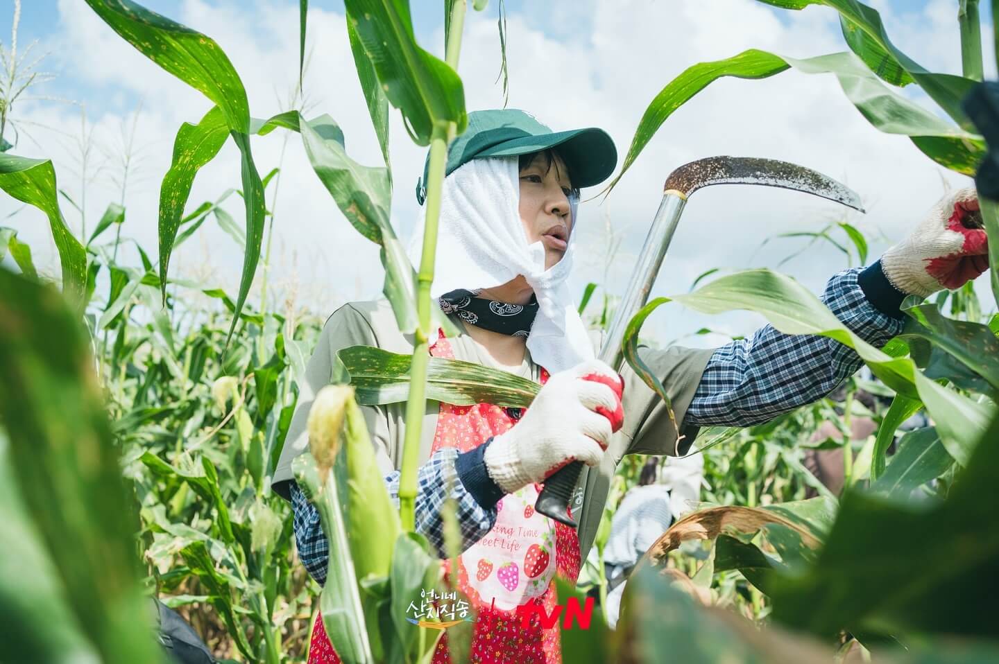 언니네 산지직송