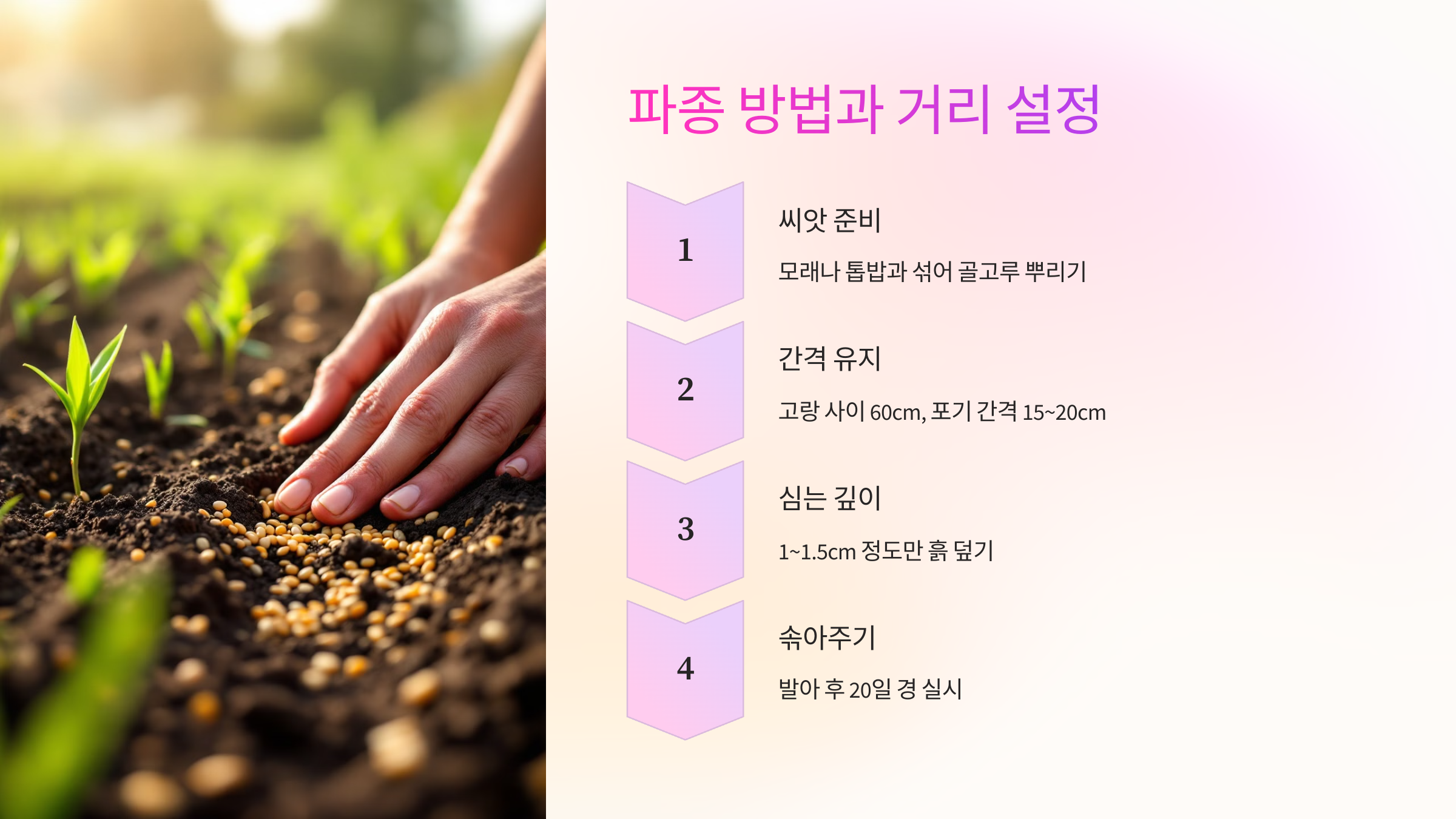 🌱 파종 방법과 거리 설정