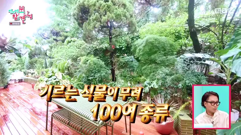 전참시 전지적참견시점 정재형 다니는 꽃집 관상수 식물 화훼 원예 농원 촬영한 곳 서초 내곡동 어디 추천 소개