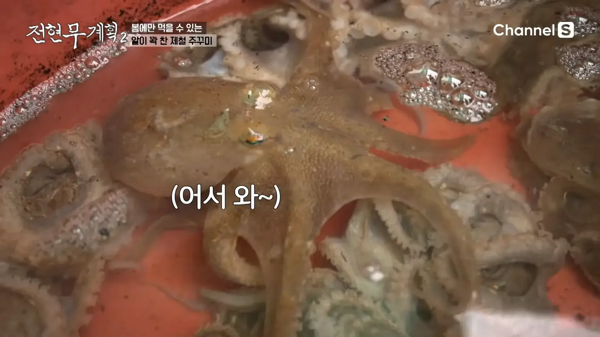 주꾸미-냉이-샤부샤부