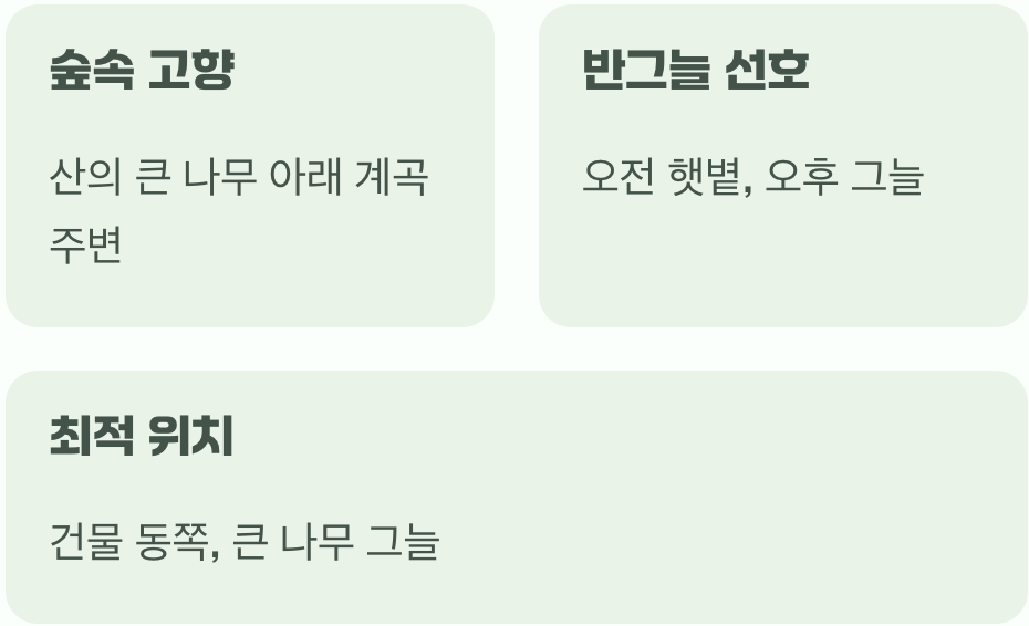 비결 1. 반그늘&amp;#44; 숲속 환경을 만들어주세요