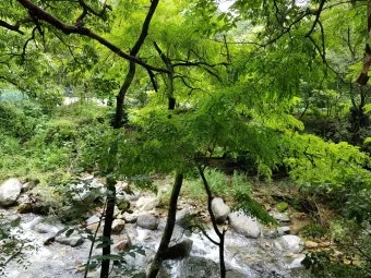 양평 강수 예측 세미원 산책 동선 우산 대여 정보_8