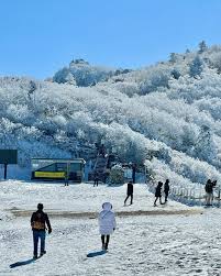 덕유산 곤도라 예약